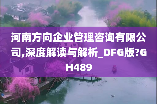 河南方向企业管理咨询有限公司,深度解读与解析_DFG版?GH489