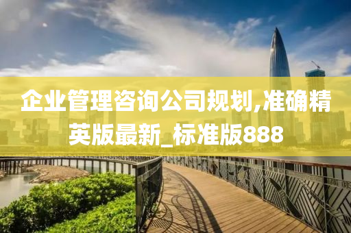 企业管理咨询公司规划,准确精英版最新_标准版888