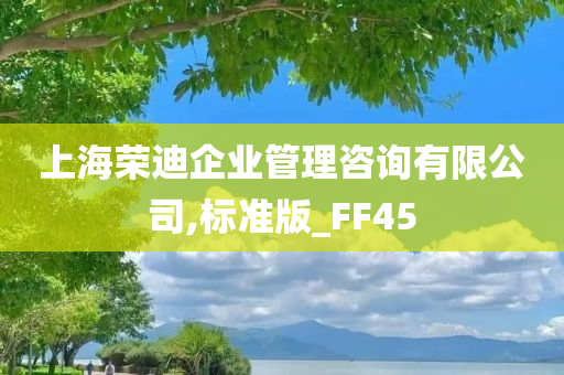 上海荣迪企业管理咨询有限公司,标准版_FF45