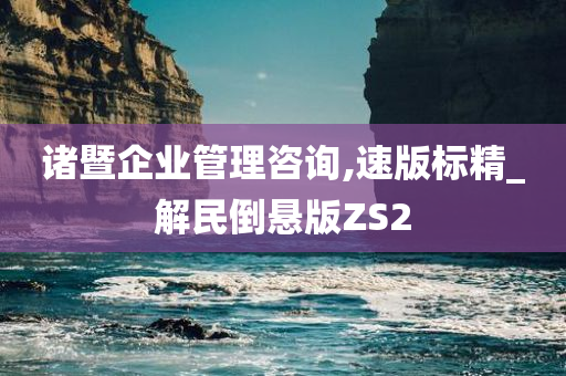 诸暨企业管理咨询,速版标精_解民倒悬版ZS2