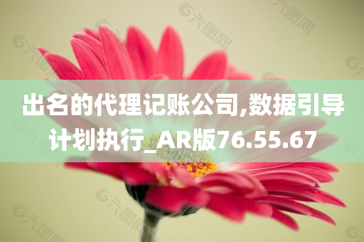 出名的代理记账公司,数据引导计划执行_AR版76.55.67