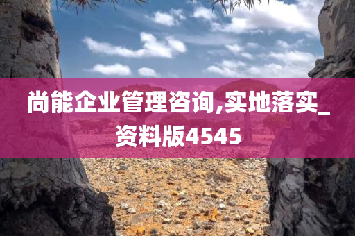 尚能企业管理咨询,实地落实_资料版4545