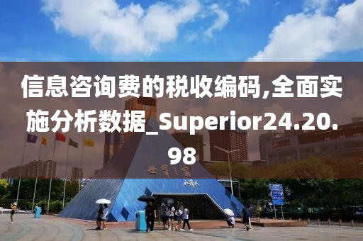 信息咨询费的税收编码,全面实施分析数据_Superior24.20.98