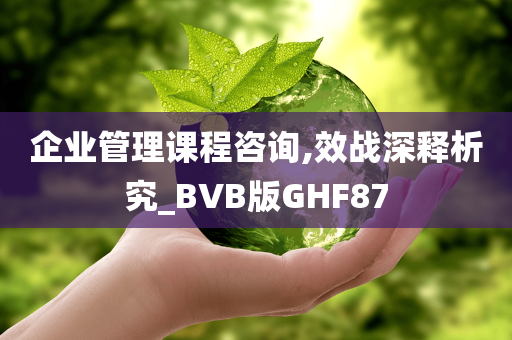 企业管理课程咨询,效战深释析究_BVB版GHF87