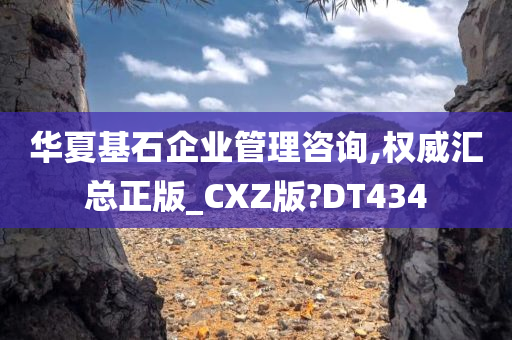 华夏基石企业管理咨询,权威汇总正版_CXZ版?DT434