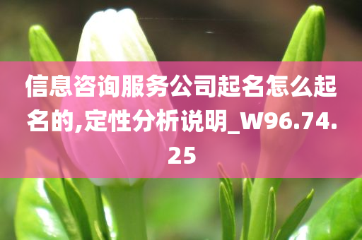 信息咨询服务公司起名怎么起名的,定性分析说明_W96.74.25