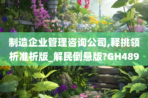 制造企业管理咨询公司,释挑领析准析版_解民倒悬版?GH489