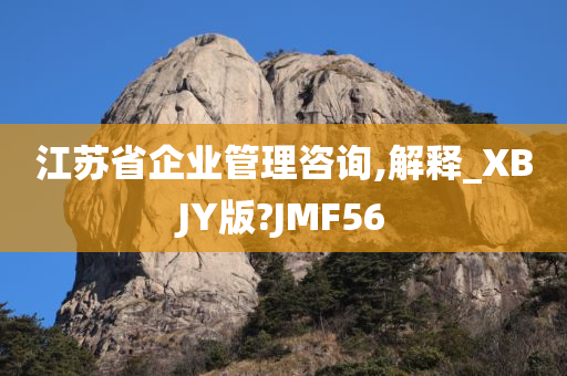 江苏省企业管理咨询,解释_XBJY版?JMF56