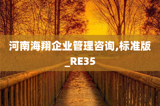 河南海翔企业管理咨询,标准版_RE35