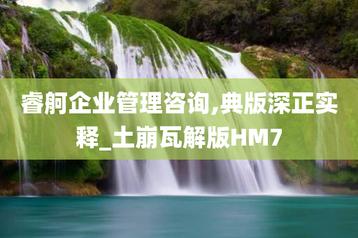 睿舸企业管理咨询,典版深正实释_土崩瓦解版HM7