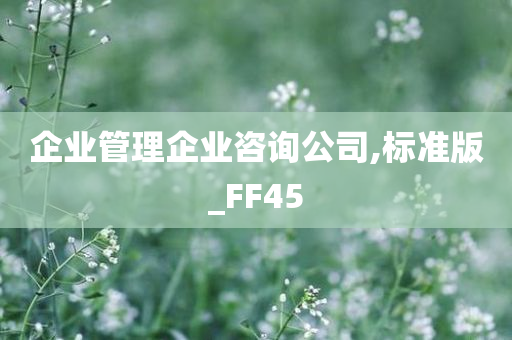 企业管理企业咨询公司,标准版_FF45