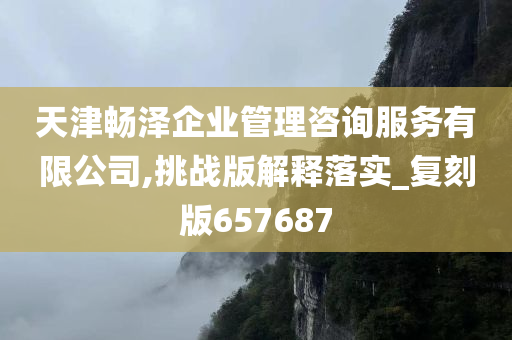 天津畅泽企业管理咨询服务有限公司,挑战版解释落实_复刻版657687