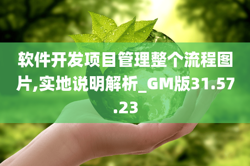 软件开发项目管理整个流程图片,实地说明解析_GM版31.57.23