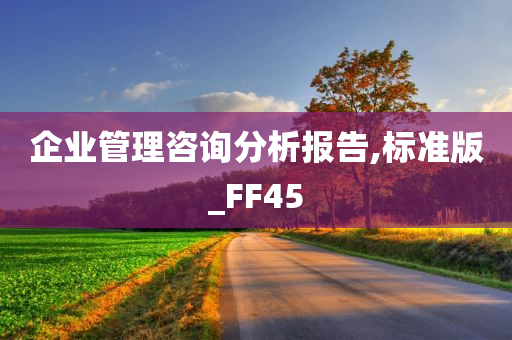 企业管理咨询分析报告,标准版_FF45