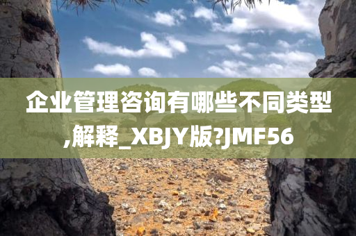 企业管理咨询有哪些不同类型,解释_XBJY版?JMF56