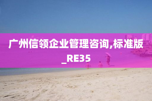 广州信领企业管理咨询,标准版_RE35