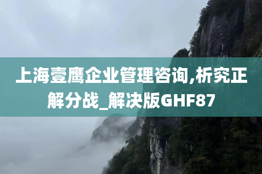 上海壹鹰企业管理咨询,析究正解分战_解决版GHF87