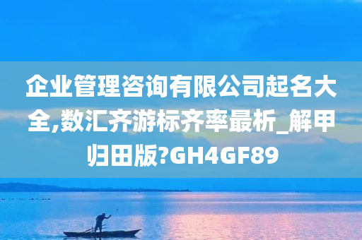 企业管理咨询有限公司起名大全,数汇齐游标齐率最析_解甲归田版?GH4GF89