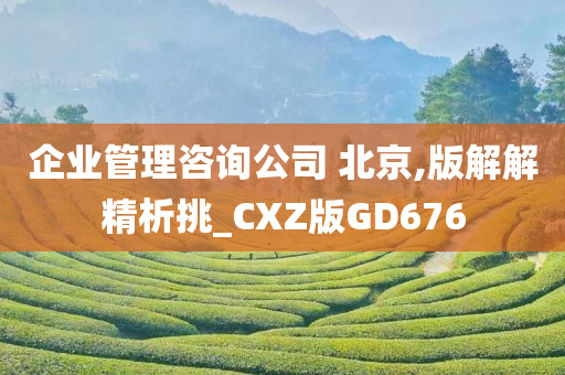 企业管理咨询公司 北京,版解解精析挑_CXZ版GD676