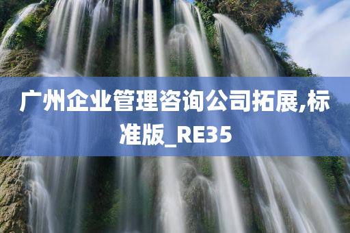 广州企业管理咨询公司拓展,标准版_RE35