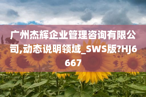 广州杰辉企业管理咨询有限公司,动态说明领域_SWS版?HJ6667