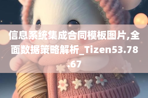 信息系统集成合同模板图片,全面数据策略解析_Tizen53.78.67