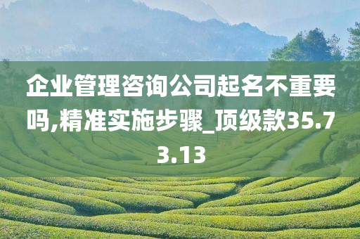 企业管理咨询公司起名不重要吗,精准实施步骤_顶级款35.73.13