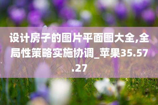 设计房子的图片平面图大全,全局性策略实施协调_苹果35.57.27