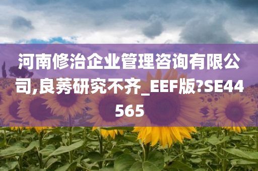 河南修治企业管理咨询有限公司,良莠研究不齐_EEF版?SE44565