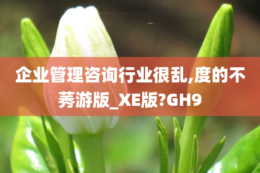 企业管理咨询行业很乱,度的不莠游版_XE版?GH9