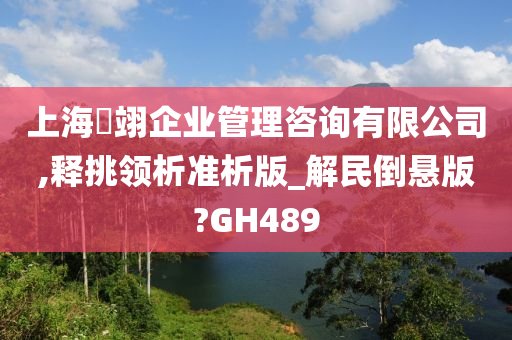 上海璟翊企业管理咨询有限公司,释挑领析准析版_解民倒悬版?GH489