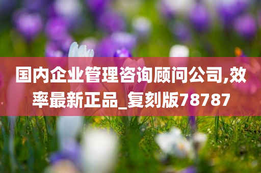 国内企业管理咨询顾问公司,效率最新正品_复刻版78787