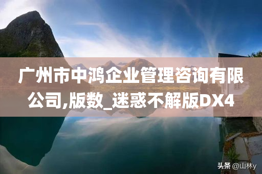 广州市中鸿企业管理咨询有限公司,版数_迷惑不解版DX4