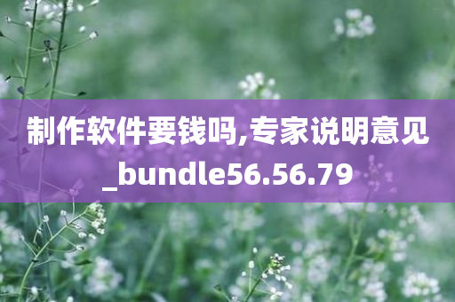 制作软件要钱吗,专家说明意见_bundle56.56.79