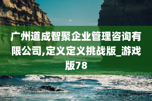 广州道成智聚企业管理咨询有限公司,定义定义挑战版_游戏版78