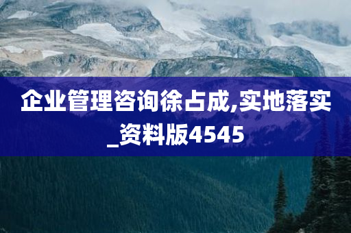 企业管理咨询徐占成,实地落实_资料版4545