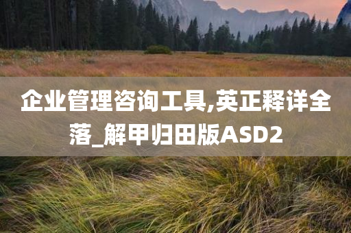 企业管理咨询工具,英正释详全落_解甲归田版ASD2