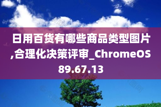 日用百货有哪些商品类型图片,合理化决策评审_ChromeOS89.67.13