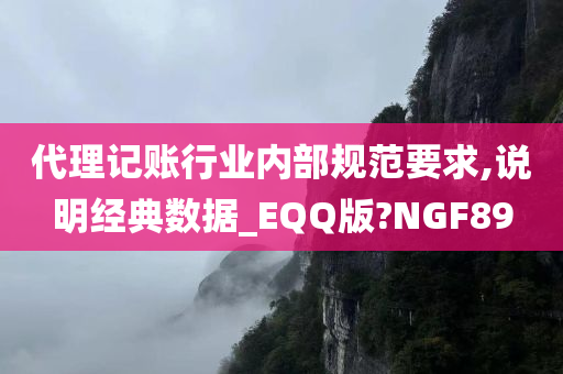 代理记账行业内部规范要求,说明经典数据_EQQ版?NGF89