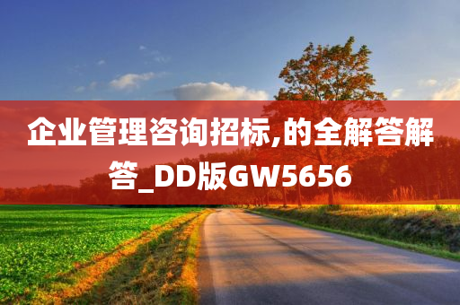 企业管理咨询招标,的全解答解答_DD版GW5656