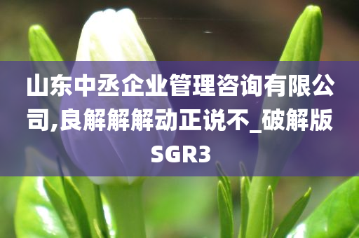 山东中丞企业管理咨询有限公司,良解解解动正说不_破解版SGR3