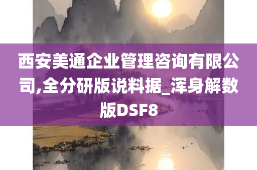 西安美通企业管理咨询有限公司,全分研版说料据_浑身解数版DSF8