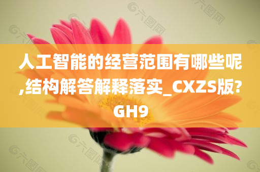 人工智能的经营范围有哪些呢,结构解答解释落实_CXZS版?GH9