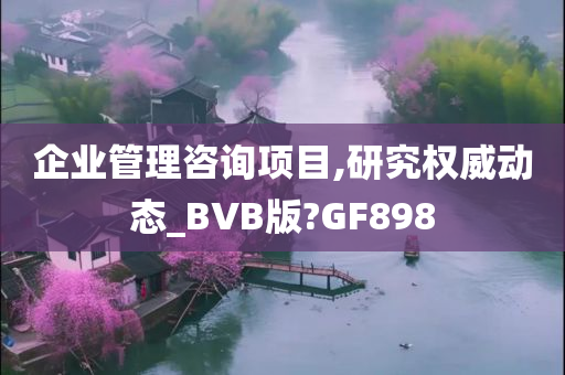 企业管理咨询项目,研究权威动态_BVB版?GF898