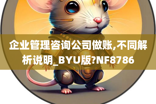 企业管理咨询公司做账,不同解析说明_BYU版?NF8786