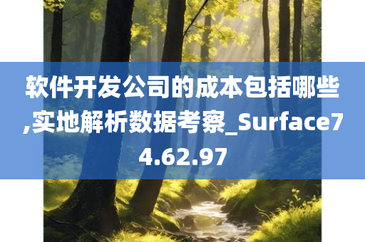 软件开发公司的成本包括哪些,实地解析数据考察_Surface74.62.97