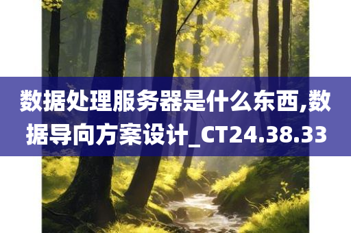 数据处理服务器是什么东西,数据导向方案设计_CT24.38.33