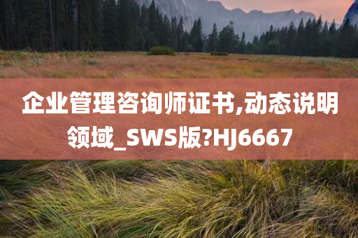 企业管理咨询师证书,动态说明领域_SWS版?HJ6667