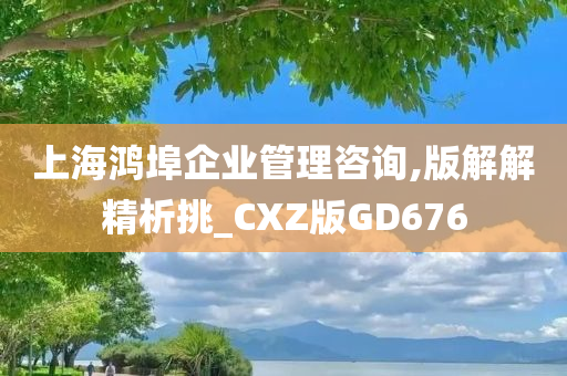 上海鸿埠企业管理咨询,版解解精析挑_CXZ版GD676