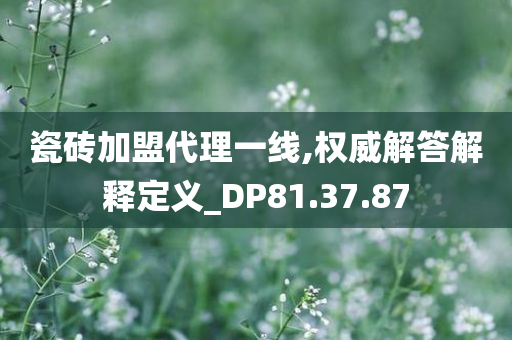 瓷砖加盟代理一线,权威解答解释定义_DP81.37.87